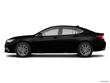Vehicle Gallery Images